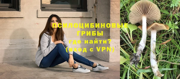 гидра Абдулино
