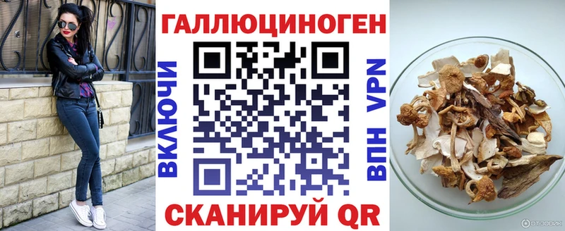 Галлюциногенные грибы Cubensis  купить закладку  Североморск 