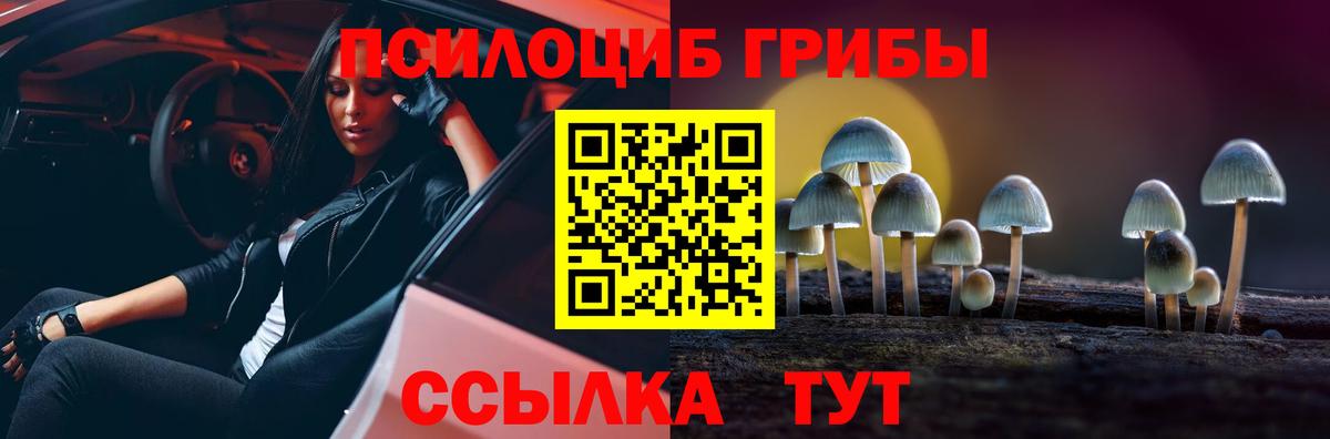 Псилоцибиновые грибы Psilocybe Североморск